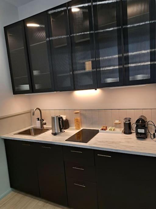 Golden Palms Apartment In The City Centre 里加 外观 照片